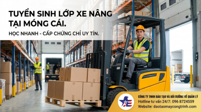 Học Lái Xe Nâng Tại Móng Cái - Quảng Ninh: Học Nhanh, Có Bằng Ngay, Dễ Xin Việc